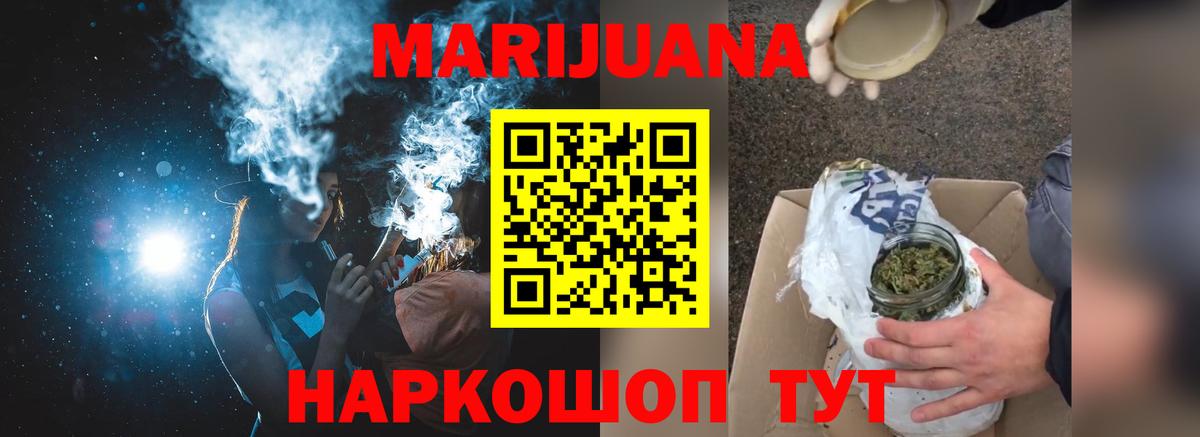 МЕФ Мичуринск